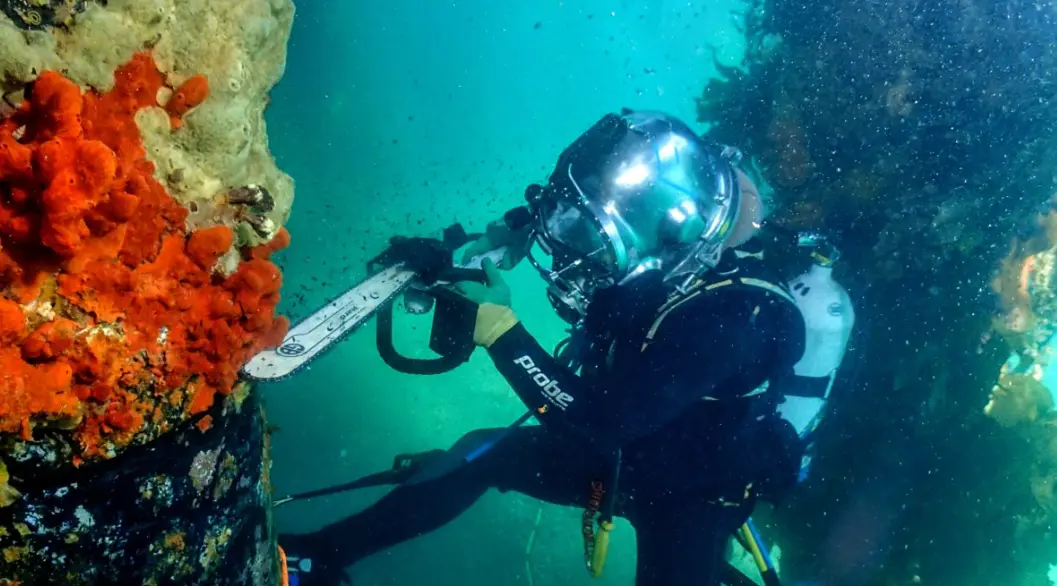 Buzo en limpieza de pilotes